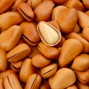 Wholesale Raw Pine Nuts