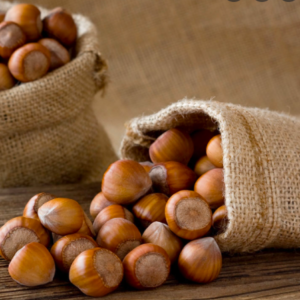 Wholesale Raw Hazelnuts Suppliers