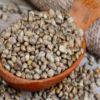 Wholesale Hemp Seeds Supplier