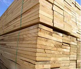 Wholesale Pinewood Supplier