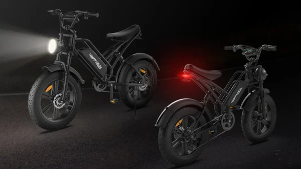 Buy Cargo Electric Bike